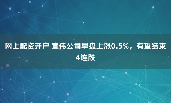 网上配资开户 宣伟公司早盘上涨0.5%，有望结束4连跌